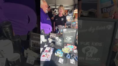 Divine Stream Radio at Street Paws: Graeme & Rachael from Tiki Dog Rescue