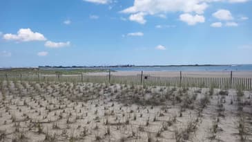 DOOGEE S95 Super Smartphone (2020)