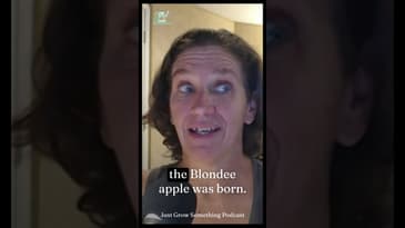 Mutant Apple Becomes New Variety. #gardening #plantbreeding #gardenpodcast