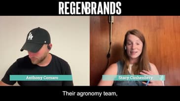 Why Mill Partners Are Essential To Regeneration