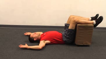 Static Back Floor Glides