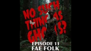 Fae Folk