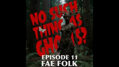 Fae Folk