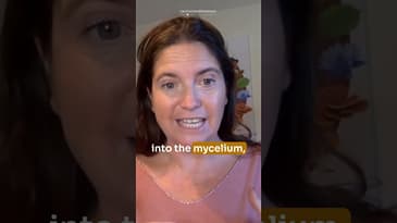 From Trees To Mycelium: Expanding Grounded Consciousness