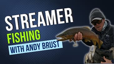 Streamer Fishing with Andy Brust
