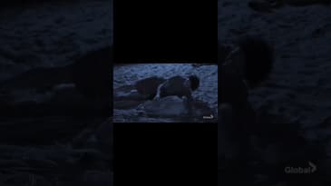 How would they know? #survivor #survivor41