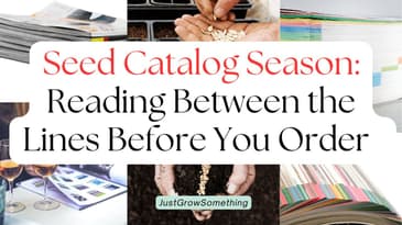 Seed Catalog Season: Reading Between the Lines Before You Order – Ep. 280