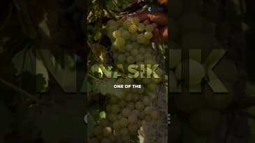 The Aha Moment That Sparked India’s Wine Revolution 🍷 | Rajeev Samant, Sula