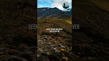 Trust God #TrustInGod #FaithJourney #SpiritualGrowth #ChristianLife #godsplan