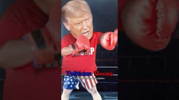 Would you like to see Donald Trump fight Joe Biden?