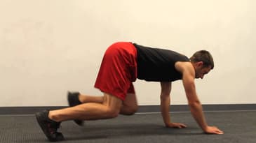 Bear Crawl - Intermediate