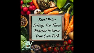 Focal Point Friday: Top Three Reasons to Grow Your Own Food