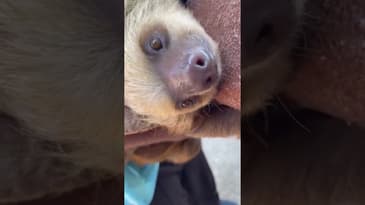 Loving Costa Rica! Returning Corporate Group with Globe Aware (Feb.2022) Clip 4