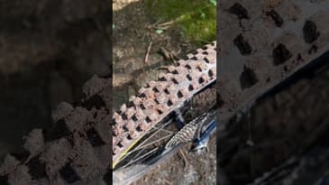 Le retour des sessions au sec đ€