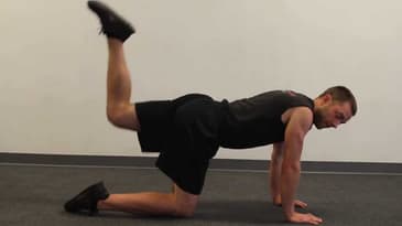 Hands and Knees Donkey Kicks
