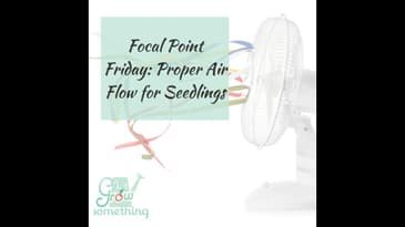 Focal Point Friday: Proper Airflow for Seedlings