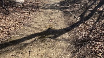 The Delphi Murders: The Murder Sheet Episode #61: "Kayla's Story"