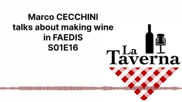 La Taverna Friuli Wine with Marco Cecchini S01E16