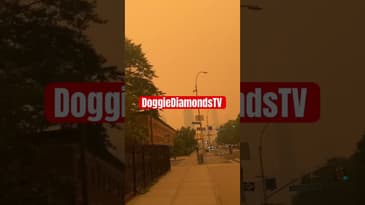 NYC Air Quality Is Really Bad Right Now! #nyc #airquality #shorts