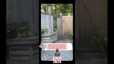 “AKICKDOE” Word of the Day!   #thesimpletruth