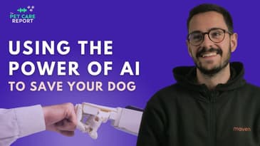How AI is making it easier to diagnose diseases in Dogs