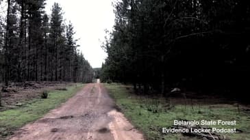 Belango State Forest