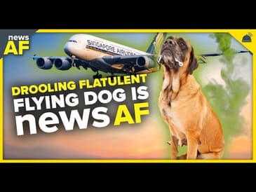 Drooling Flatulent Flying Dog is News AF - September 12, 2023