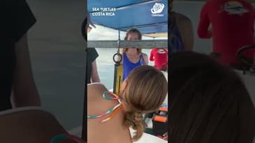 Weighing A Turtle! Globe Aware Sea Turtle Conservation in Costa Rica