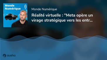 Réalité virtuelle : "Meta opère un virage stratégique vers les entreprises" (Lucas Perraudin, Mul...