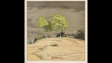 When a forest is razed…