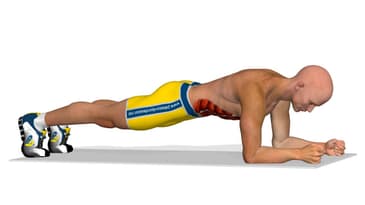Addominali obliqui: Plank
