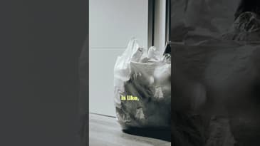 Not So Empty Nest #family