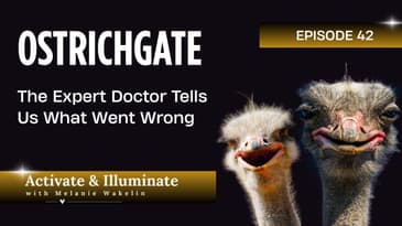OSTRICHGATE: The Expert Doctor Tells Us What Went Wrong