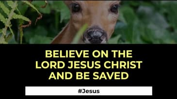 John 3:16 - Believe On The Lord Jesus Christ And Be Saved - Salvation Video by Robert Woeger