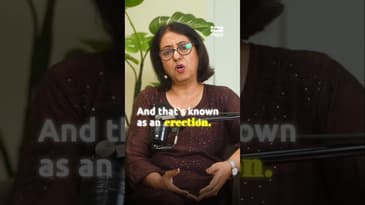 Explaining Erections to Kids!