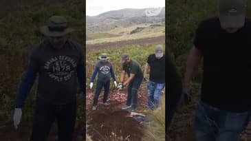 What Are They Digging For!? Peru with Globe Aware (April 2024)