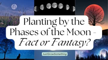 Planting by the Phases of the Moon - Ep 270