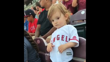 Supporting @angels @miketrout in style! I had a blast at my 2nd baseball game! #shorts #toddler #fun