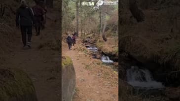 EXPLORING BHUTAN ON A HIKE IN THE FOREST! UNIQUE BHUTAN WITH GLOBE AWARE! TRAVEL 2023