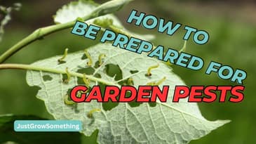 Be Prepared for Garden Pests - Ep. 245