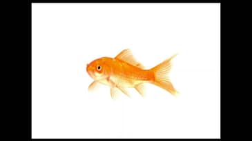 TTP - Brad Benner - Nex.To - Client Retention through Satisfaction