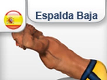 Ejercicios músculos  Espalda baja lumbares - HIPEREXTENSIONES - EXTENSION DEL TRONCO