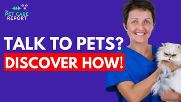 Animal Communication | Signs Our Pets Are Trying To Tell Us