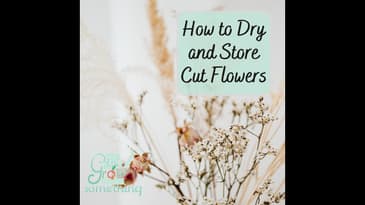 How to Dry and Store Cut Flowers - Ep. 219