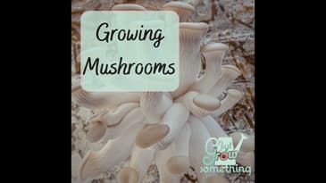 Ep. 140 - Growing Mushrooms
