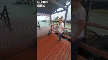 Follow The Baby Sea Lion! Galápagos Islands with Globe Aware