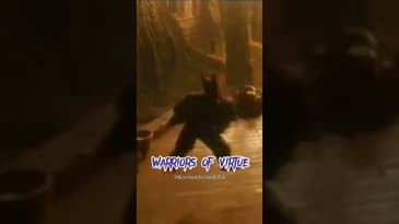 Remember Warriors of Virtue?