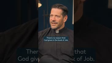 God Wants to Encounter You in His Word w/ Fr. Mike Schmitz