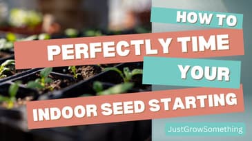 How to Time Indoor Seed Starting - Ep. 235