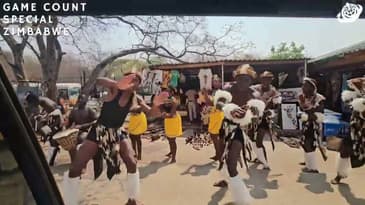 A Drive-By Dance! Zimbabwe Game-Count Special with Globe Aware (2023)